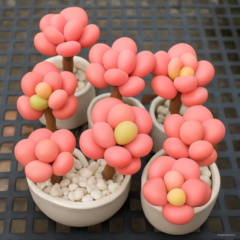 100 Pcs Pack Egg Succulents Plants Echinopsis Tubiflora Cactus Plant Flower Lithops Pots Planters Home Garden Seeds