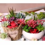 Artificial Succulent Simulation Plants Fake Aloe Cactus Landscape Lotus Flower Diy Faux Creative Accessories Seeds - 4