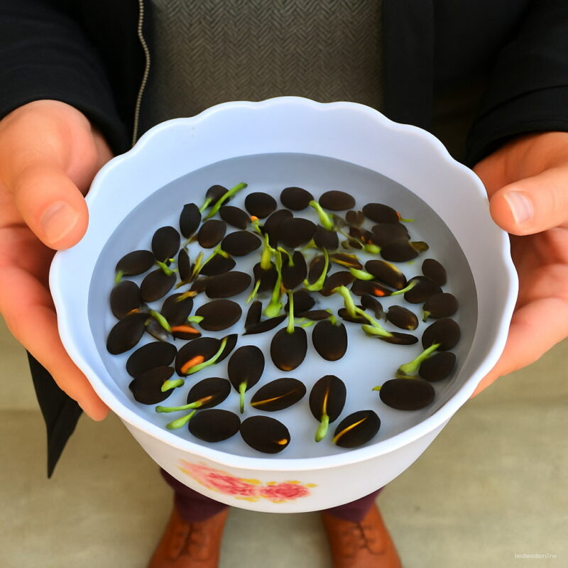 Hot Summer 100% Bowl Lotus Plantas Floresling Pots Bonsai Garden Plants 5 Mxn165 Seeds