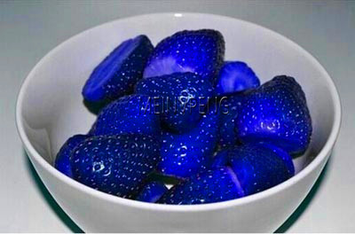 Large 200pcs Blue Strawberry Tree Organic Fruit Seedlings For Yard Landscaping Ecofriendly Cultivation - 4