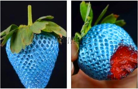 Large 200pcs Blue Strawberry Tree Organic Fruit Seedlings For Yard Landscaping Ecofriendly Cultivation - 3