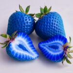 Big Balcony Fruits Strawberry Bonsai Blue Garden Delicious Fragaria Ananassa Plantas - 300 Plant Z785um Seeds - 6