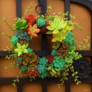 Hot 100pcs Mix Lithops Plant Succulent Plantas Ass Flower Flores Pseudotruncatella Living Stone Bonsai Mini Garde Seeds