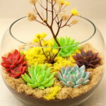 Big 200pcs Semillas De Flores Mix Lithops Plant Succulent Plantas Ass Flower Planten Living Stone Bonsai Mini Gar Seeds - 3 Big 200pcs Semillas De Flores Mix Lithops Plant Succulent Plantas Ass Flower Planten Living Stone Bonsai Mini Gar Seeds - 3