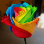 Best-selling 100 Bonsai Holland Rainbow Rose Flower Home Garden Plant Mz9jny Seeds - 2