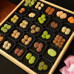 100pcs Mixed Lithops Succulent Bulbs Real Color Indoor Bonsai Flower Plants Pot Home Garden Planting Seeds - 2