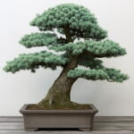 10 Pcs Cedar Kinds Of Green Bonsai Tree Japanese Plant Home Garden Straight Perennial Woody Plants Seeds - 5 10 Pcs Cedar Kinds Of Green Bonsai Tree Japanese Plant Home Garden Straight Perennial Woody Plants Seeds - 5