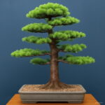 10 Pcs Cedar Kinds Of Green Bonsai Tree Japanese Plant Home Garden Straight Perennial Woody Plants Seeds - 2 10 Pcs Cedar Kinds Of Green Bonsai Tree Japanese Plant Home Garden Straight Perennial Woody Plants Seeds - 2