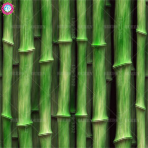40pcs Fresh Lucky Moso Bamboo Green Decorative Bonsai Purifying Air Natural Growth Home Garden Potted Planting Seeds - 2