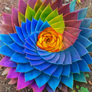 Bonsai 100pcs Color Aloe Vera Plant Herbal Succulent Poted Planta Organic Flower Garden Planting Purify Air Seeds - 2