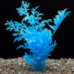 Bonsai 200pcs Blue Aquatic Water Grass Beautiful Planting Potted Fish Tank Home Garden Decoration Supplies Seeds - 5 Bonsai 200pcs Blue Aquatic Water Grass Beautiful Planting Potted Fish Tank Home Garden Decoration Supplies Seeds - 5