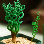 200pcs Succulent Spring Grass Albuca Namaquensis Real Indoor Bonsai Plants Home Garden Packaging Seeds