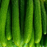 100pcs Cucumber Vegetable Plant Healthy Family Fruit Garden Bonsai Potted Planting Seeds - 6