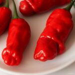 Bonsai 50pcs Penis Hot Pepper Chili Organic Vegetable Planting Potted Home Garden Supplies Seeds - 4