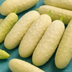 100pcs Cucumber Plant Vegetables Fresh Fruit Pot Plants Healthy Family Vegetable Garden Seeds - 4