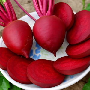 100pcs Beets Outdoor Garden Bonsai Plants Boltardy Beetroot Organic Vegetable Seeds - 2