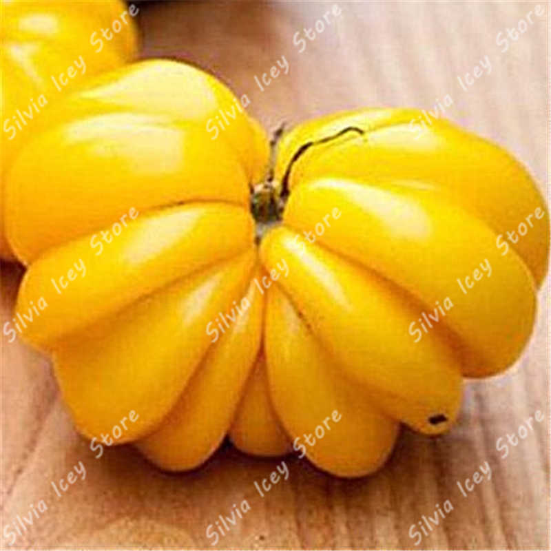 200 Pcs Giant Tomato Seeds Vegetable Cultivation For Indooroutdoor Potted Growth Harvest - 14