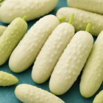 Bonsai 50pcs Mixed 17 Variety Cucumber Fruit Vegetable Collection Potted Planters Home Garden Seeds - 5