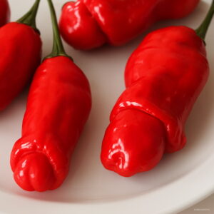 Bonsai 100pcs Funny Hot Pepper Penis Chili Organic Vegetable Planting Potted Home Garden Supplies Seeds