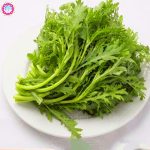 Bonsai 50pcs Artemisia Organic Green Vegetable Planting Potted Home Garden Supplies Seeds - 4