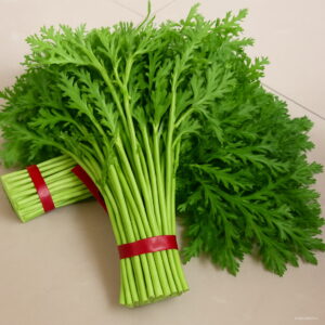 Bonsai 50pcs Artemisia Organic Green Vegetable Planting Potted Home Garden Supplies Seeds