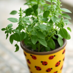 Bonsai 100pcs Basil Organic Vegetable Planting Potted Home Garden Supplies Seeds - 2