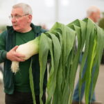 100pcs Chinese Giant Green Onion Scallion Organic Vegetable Non-gmo Health Decoration Home & Garden Supplies Seeds - 5