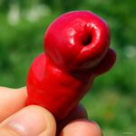 100pcs Penis Pepper Bonsai Planting Real Hot Chili Organic Vegetable Chinese Funny Potted Spring Farm Supplies Seeds - 3