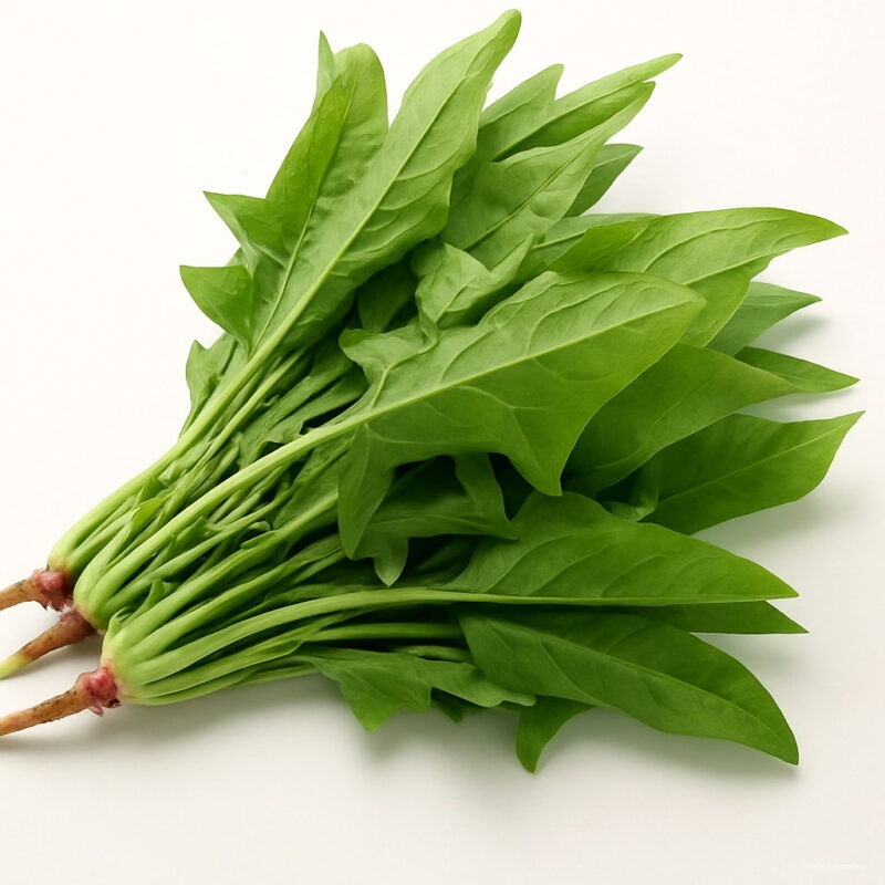 Bonsai 100pcs Chinese Spinach Organic Vegetable Planting Potted Home Garden Supplies Seeds