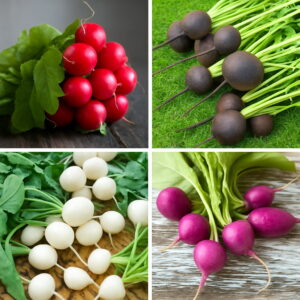 200 Pcs Colorful Radish Vegetable Bonsai Plant Organic Planting Potted Home Garden Seeds