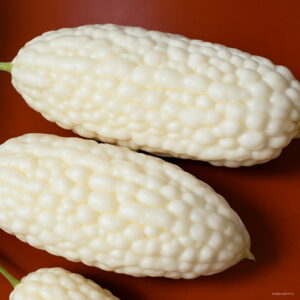 Bonsai 20pcs White Balsam Pear Organic Bitter Gourd Melon Vegetable Planting Potted Home Garden Supplies Seeds - 2