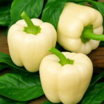 200pcs Color Bell Pepper Bonsai Plant Vegetable Garden Family Pot Planting Seeds - 5