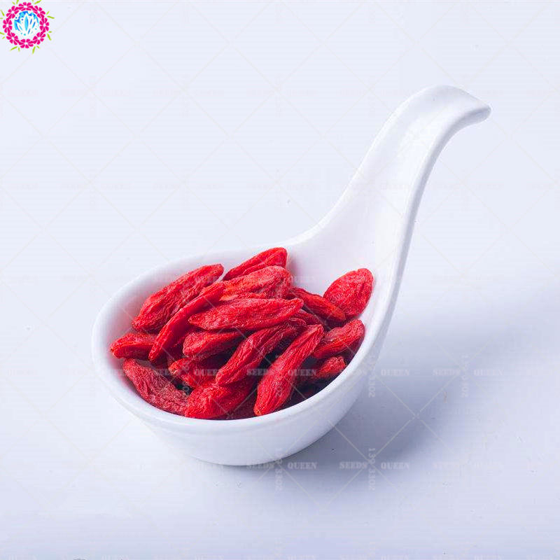 100pcs Goji Berry s Seeds Organic Wolfberry Tree Heirloom Variety Ideal For Medical Wine Production Natural Fruit Yield - 6