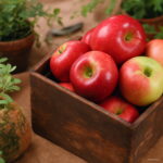 30pcs Bonsai Apple Tree Indoor Plant Dwarf Fruit Home Garden Packaging To Seeds - 4