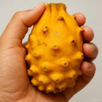 Bonsai 200pcs Mixed Pitaya Sweet Melon Organic Dragon Fruit Planting Potted Tree Home Garden Supplies Seeds - 2