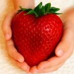 300 Pcs Giant Japan Strawberry Bonsai Dwarf Fruit Plants Red Organic Potted Planting Home Garden Seeds - 4