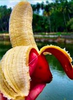 Bonsai 100pcs Mixed Dwarf Banana Tree Fruit Mini Pink Sementes Da Seeds - 5