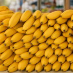 Bonsai 100pcs Mixed Dwarf Banana Tree Fruit Mini Pink Sementes Da Seeds - 2 Bonsai 100pcs Mixed Dwarf Banana Tree Fruit Mini Pink Sementes Da Seeds - 2