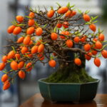 Bonsai 100pcs Chinese Wolfberry Organic Vegetable Fruit Planting Potted Tree Home Garden Supplies Seeds - 2 Bonsai 100pcs Chinese Wolfberry Organic Vegetable Fruit Planting Potted Tree Home Garden Supplies Seeds - 2