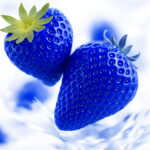 Bonsai 300pcs Blue Strawberry Mixed Color Balcony Fruits Delicious Fragaria Ananassa Seeds - 3 Bonsai 300pcs Blue Strawberry Mixed Color Balcony Fruits Delicious Fragaria Ananassa Seeds - 3