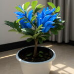 Bonsai Plants 100pcs Bergamot Family Potted Colourful Buddha Hand Purify Air Seeds - 3