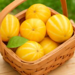 Bonsai 100pcs Muskmelon Sweet Cantaloupe Melon Organic Fruit Planting Potted Tree Home Garden Supplies Seeds Bonsai 100pcs Muskmelon Sweet Cantaloupe Melon Organic Fruit Planting Potted Tree Home Garden Supplies Seeds