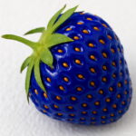 100pcs Bonsai Blue Strawberry Fruit Plant Home Garden Seeds - 4 100pcs Bonsai Blue Strawberry Fruit Plant Home Garden Seeds - 4