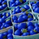100pcs Bonsai Blue Strawberry Fruit Plant Home Garden Seeds 100pcs Bonsai Blue Strawberry Fruit Plant Home Garden Seeds