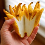 Bonsai 100pcs Bergamot Buddha Hand Fruit Organic Planting Potted Tree Home Garden Supplies Seeds - 5