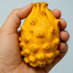 Bonsai 100pcs Giant Yellow Pitaya Sweet Melon Organic Dragon Fruit Planting Potted Tree Home Garden Supplies Seeds - 2