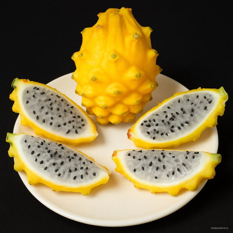 Bonsai 100pcs Giant Yellow Pitaya Sweet Melon Organic Dragon Fruit Planting Potted Tree Home Garden Supplies Seeds