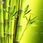 40pcs Bambusa Bamboo Green Perennial Bonsai Plants Home Garden Potted To Packaging Seeds - 2
