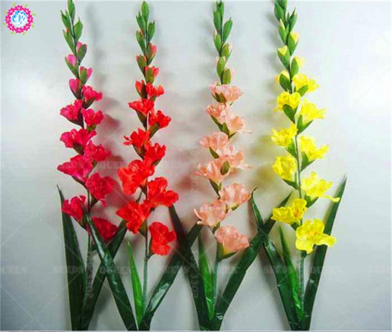100pcs Perennial Gladiolus Flower Sword Orchid Lily Diy Home Garden