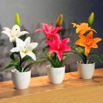 Bonsai Plants Flower 10pcs Lily Potted Home Garden Indoor Seeds